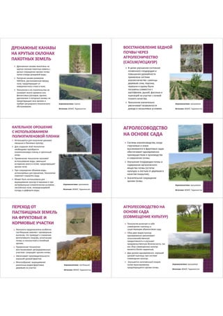 Uzbekistan SLM Prioritization (Russian) | PDF