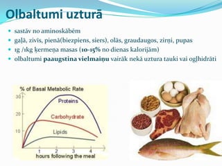 Olbaltumi uzturā
 sastāv no aminoskābēm
 gaļā, zivīs, pienā(biezpiens, siers), olās, graudaugos, zirņi, pupas
 1g /1kg ķermeņa masas (1o-15% no dienas kalorijām)
 olbaltumi paaugstina vielmaiņu vairāk nekā uztura tauki vai ogļhidrāti
 