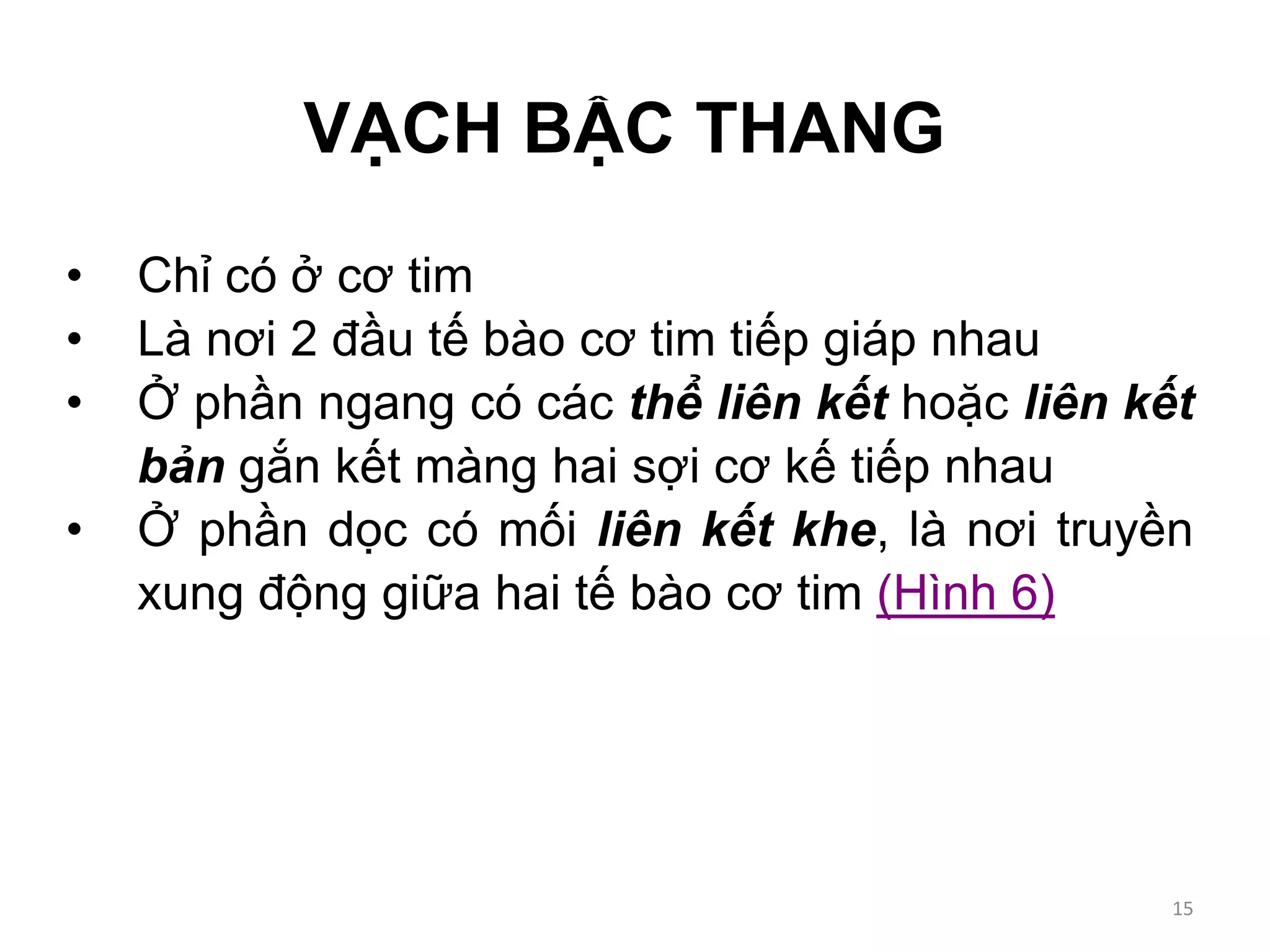 VẠCH BẬC THANG
• Chỉ có ở cơ tim
• Là nơi 2 đầu tế bào cơ tim tiếp giáp nhau
• Ở phần ngang có các thể liên kết hoặc liên kết
bản gắn kết màng hai sợi cơ kế tiếp nhau
• Ở phần dọc có mối liên kết khe, là nơi truyền
xung động giữa hai tế bào cơ tim (Hình 6)
15
 