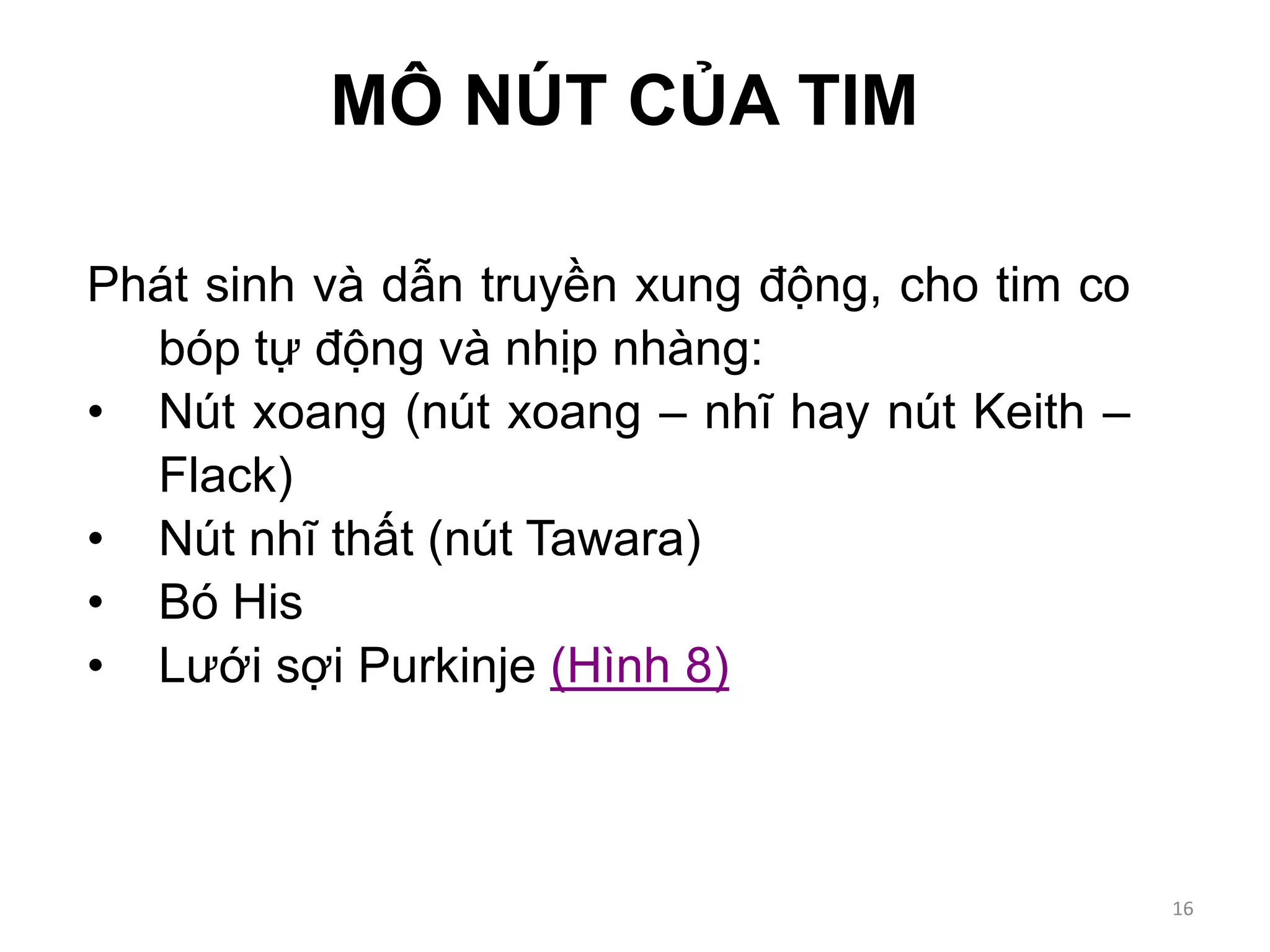 MÔ NÚT CỦA TIM
Phát sinh và dẫn truyền xung động, cho tim co
bóp tự động và nhịp nhàng:
• Nút xoang (nút xoang – nhĩ hay nút Keith –
Flack)
• Nút nhĩ thất (nút Tawara)
• Bó His
• Lưới sợi Purkinje (Hình 8)
16
 