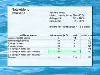 speciālistiem jāstrādā ilgi un paškritiski 