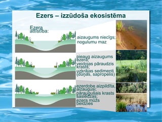 Ezers – izzūdoša ekosistēma Ezera attīstība: aizaugums niecīgs; nogulumu maz pieaug aizaugums ezerā; veidojas pāraudzis krasts; uzkrājas sedimenti (dūņas, sapropelis) ‏ ezerdobe aizpildīta, aizaugusi; pāraugušais krasts saslēdzas; ezera mūžs beidzies 