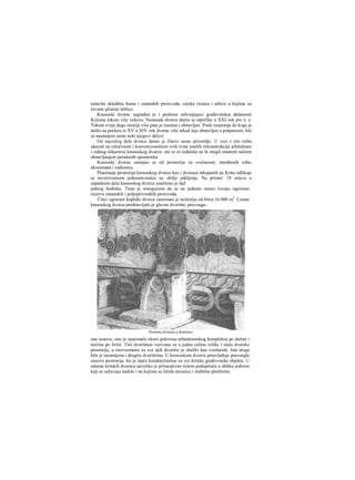 nalazila skladišta hrane i zanatskih proizvoda, carska riznica i arhive u kojima su
čuvane glinene tablice.
Knososki dvorac sagrađen je i proširen zahvaljujuci građevinskoj delatnosti
Krićana tokom više vekova. Nastanak dvorca datira se otprilike u XXI vek pre n. e.
Tokom svoje duge istorije više puta je razaran i obnavljan. Posle razaranja do koga je
došlo na prelazu iz XV u XIV vek dvorac više nikad nije obnovljen u potpunosti; bili
su nastanjeni samo neki njegovi delovi.
Od največeg dela dvorca danas je čitavo samo prizemlje. U vezi s tim treba
ukazati na relativnost i konvencionalnost svih vrsta smelih rekonstrukcija arhitekture
i zidnog slikarstva knososkog dvorca: oni se ni izdaleka ne bi mogli smatrati tačnim
obnavljanjem porušenih spomenika.
Knososki dvorac sastojao se od prostorija za svečanosti, stambenih soba,
ekonomata i radionica.
Planiranje prostorija knososkog dvorca kao i dvoraca otkopanih na Kritu odlikuje
se neverovatnom jednostavnošcu uz obilje odeljenja. Na primer: 18 ostava u
zapadnom delu knososkog dvorca smešteno je duž
jednog hodnika. Tirae je omogućeno da se na jednom mestu čuvaju ogrorane
rezerve zanatskih i poljoprivrednih proizvoda.
Čitav ogrorani kopleks dvorca zauzimao je teritoriju od blizu 16.000 m2
. Centar
knososkog dvorca predstavljalo je glavno dvorište; pravouga-
one osnove, ono je zauzimalo skoro polovinu arhitektonskog kompleksa po dužini i
trećinu po širini. Tim dvorištem vezivane su u jednu celinu velike i male dvorske
prostorije, a istovxemeno za sve njih dvorište je služilo kao svetlarnik. Ista uloga
bila je namenjena i drugim dvorištima. U knososkom dvorcu preovlađuje pravougla
osnova prostorija, što je inače karakteristično za sve kritske građevinske objekte. U
salama kritskih dvoraca naveliko je primenjivan sistem podupirača u obliku stubova
koji se sužavaju nadole i na kojima su ležale tavanice i stubišne platforme.
Prestona dvorana u Knososu.
 