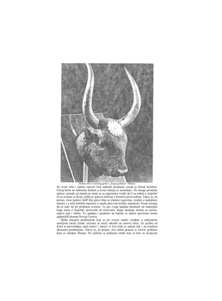 Po svom stilu i tehnici najveći broj nađenih predmeta veoma je blizak kritskim.
Uticaj Krita na mikensku kulturu u ovom slučaju je nesumnjiv. Za mnoge primerke
nakita i posude od metala ne može se sa sigurnošcu tvrditi da li su rađeni u Argolidi
ili su uvezeni sa Krita, tolika je njihova sličnost s kritskim proizvodima, Takav je, na
primer, riton (pehar) ifotP liku glave bika sa zlatnim rogovima, izrađen u najlepšem
maniru i u stilu kritskih majstora iz epohe procvata kritske umetnosti. Nema surnnje
da su neki od tih predmeta uvezeni. Tu pre svega spadaju predrneti od materijala
koga nema u Argolidi: proizvodi od slonovače, drago kamenje doneto sa severa,
nojeva jaja i slično. Tu spadaju i predmeti na kojima se nalaze gravirana imena
egipatskih faraona Novog Carstva.
Među mnogim predmetima koji su po svemu sudeći izrađeni u mikenskim
naseljima mesto izrade večinora se može odrediti na osnovu sižea. Za razliku od
Krita tu preovlađuju ratni motivi i motivi iz lova koji se nalaze čak i na ženskim
ukrasnim predmetima. Takva su, na primer, dva zlatna prstena iz četvrte grobnice
koju je otkopao Šliman. Na jedriom je prikazan ratnik koji se bori sa dvojicom
Srebrni riton iz četvrtog groba u „krugu grobnica". Mikena
 