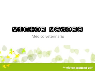 Victor Madera
Médico veterinario
 