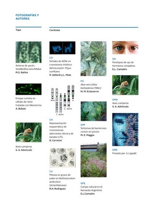 Carátulas
CA
Señales de ADNr en
cromosoma mitótico
del escorpión Tityus
confluens
R. Adilardi y L. Mola
	
CH
Representación
esquemática de
cromosomas
aberrantes; técnica de
bandeo GTG
R. Cerretini
CV
Mitosis en grano de
polen en Nothoscordum
andicolum
(Amarilidaceae)
R.H. Rodríguez	
FG	
Aloe vera (Aloe
barbadensis Miller)
M. M. Echeverría
GMI
Síntomas de bacteriosis
común en poroto
M. E. Maggio
	
GPE	
Campo natural en el
Noroeste Argentino
E.L.Camadro
GH
Fenotipos de ojo de
hermanos completos
E.L. Camadro
GMA	
Aves camperas
S. A. Advínculo
GME
Provisto por S. Lippold
FOTOGRAFÍAS Y
AUTORES
Tapa
Anteras de yacón,
Smallanthus sonchifolius
M.S. Ibáñez	
Ensayo cometa en
células de ratón
tratadas con bleomicina
A. Bolzán
Aves camperas
S. A. Advínculo


 