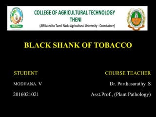 BLACK SHANK OF TOBACCO
STUDENT COURSE TEACHER
MODHANA. V Dr. Parthasarathy. S
2016021021 Asst.Prof., (Plant Pathology)
 