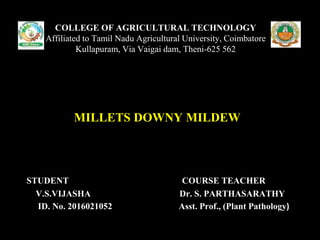STUDENT COURSE TEACHER
V.S.VIJASHA Dr. S. PARTHASARATHY
ID. No. 2016021052 Asst. Prof., (Plant Pathology)
COLLEGE OF AGRICULTURAL TECHNOLOGY
Affiliated to Tamil Nadu Agricultural University, Coimbatore
Kullapuram, Via Vaigai dam, Theni-625 562
MILLETS DOWNY MILDEW
 