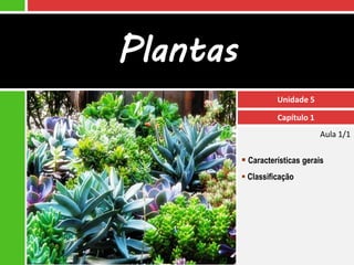 Plantas
                    Unidade 5

                    Capítulo 1
                                 Aula 1/1

           Características gerais
           Classificação
 