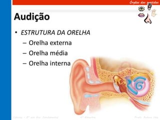Órgãos dos sentidos




Audição
 • ESTRUTURA DA ORELHA
    ─ Orelha externa
    ─ Orelha média
    ─ Orelha interna




Ciências – 8º ano Ens. Fundamental   4º Bimestre      Profa. Rebeca Vale
 