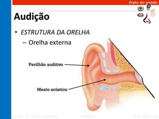 Órgãos dos sentidos




Audição
 • ESTRUTURA DA ORELHA
    ─ Orelha externa


           Pavilhão auditivo




                  Meato acústico




Ciências – 8º ano Ens. Fundamental   4º Bimestre      Profa. Rebeca Vale
 