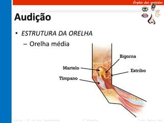 Órgãos dos sentidos




Audição
 • ESTRUTURA DA ORELHA
    ─ Orelha média
                                                             Bigorna

                                     Martelo
                                                                 Estribo
                                 Tímpano




Ciências – 8º ano Ens. Fundamental             4º Bimestre             Profa. Rebeca Vale
 