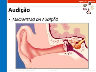 Órgãos dos sentidos




Audição
 • MECANISMO DA AUDIÇÃO




Ciências – 8º ano Ens. Fundamental   4º Bimestre      Profa. Rebeca Vale
 