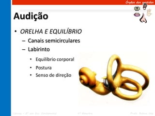 Órgãos dos sentidos




Audição
 • ORELHA E EQUILÍBRIO
       ─ Canais semicirculares
       ─ Labirinto
             • Equilíbrio corporal
             • Postura
             • Senso de direção




Ciências – 8º ano Ens. Fundamental   4º Bimestre      Profa. Rebeca Vale
 