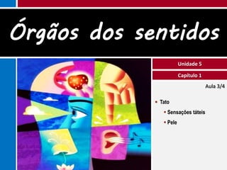 Órgãos dos sentidos
                         Unidade 5

                         Capítulo 1
                                      Aula 3/4

              Tato
                 Sensações táteis
                 Pele
 