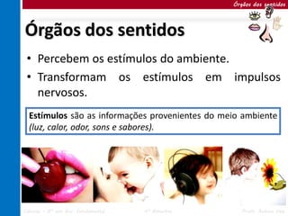 Órgãos dos sentidos




Órgãos dos sentidos
 • Percebem os estímulos do ambiente.
 • Transformam os estímulos em impulsos
   nervosos.
  Estímulos são as informações provenientes do meio ambiente
  (luz, calor, odor, sons e sabores).




Ciências – 8º ano Ens. Fundamental   4º Bimestre      Profa. Rebeca Vale
 