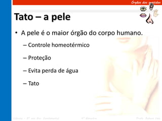 Órgãos dos sentidos




Tato – a pele
 • A pele é o maior órgão do corpo humano.
       – Controle homeotérmico

       – Proteção

       – Evita perda de água

       – Tato




Ciências – 8º ano Ens. Fundamental   4º Bimestre      Profa. Rebeca Vale
 