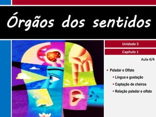 Órgãos dos sentidos
                       Unidade 5

                       Capítulo 1
                                    Aula 4/4

              Paladar e Olfato
                 Língua e gustação
                 Captação de cheiros
                 Relação paladar e olfato
 