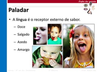 Órgãos dos sentidos




Paladar
 • A língua é o receptor externo de sabor.
       ─ Doce

       ─ Salgado

       ─ Azedo

       ─ Amargo




Ciências – 8º ano Ens. Fundamental   4º Bimestre      Profa. Rebeca Vale
 