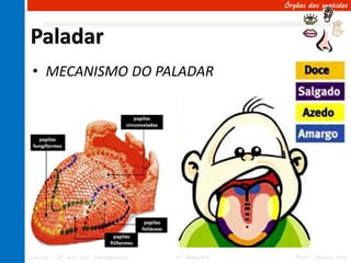 Órgãos dos sentidos




Paladar
 • MECANISMO DO PALADAR




Ciências – 8º ano Ens. Fundamental   4º Bimestre      Profa. Rebeca Vale
 