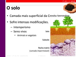 O solo e o subsolo




O solo
 • Camada mais superficial da Crosta terrestre.
 • Sofre intensas modificações.
       ─ Intemperismo
       ─ Seres vivos                                        Solo
             • Animais e vegetais
                                                    Subsolo


                                              Rocha matriz
                                     (camada impermeável)

Ciências – 6º ano Ens. Fundamental            2º Bimestre           Profa. Rebeca Vale
 