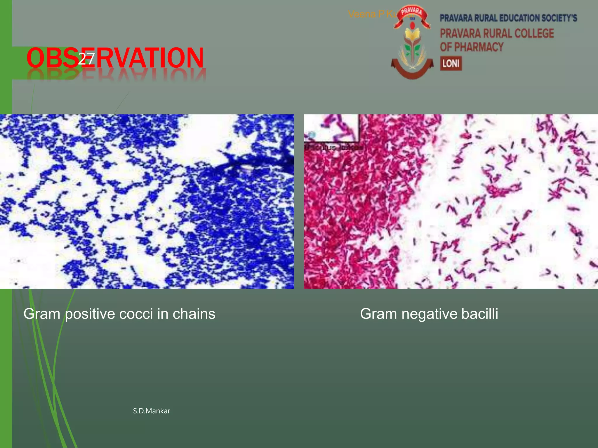 Identification of bacteria by using different staining techniques like ...