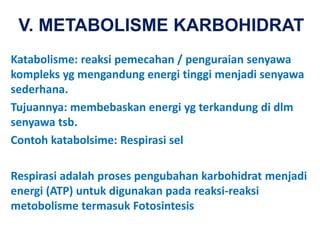 V. METABOLISME KARBOHIDRAT
Katabolisme: reaksi pemecahan / penguraian senyawa
kompleks yg mengandung energi tinggi menjadi senyawa
sederhana.
Tujuannya: membebaskan energi yg terkandung di dlm
senyawa tsb.
Contoh katabolsime: Respirasi sel
Respirasi adalah proses pengubahan karbohidrat menjadi
energi (ATP) untuk digunakan pada reaksi-reaksi
metobolisme termasuk Fotosintesis
 