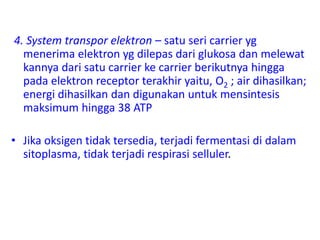 4. System transpor elektron – satu seri carrier yg
menerima elektron yg dilepas dari glukosa dan melewat
kannya dari satu carrier ke carrier berikutnya hingga
pada elektron receptor terakhir yaitu, O2 ; air dihasilkan;
energi dihasilkan dan digunakan untuk mensintesis
maksimum hingga 38 ATP
• Jika oksigen tidak tersedia, terjadi fermentasi di dalam
sitoplasma, tidak terjadi respirasi selluler.
 