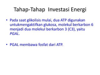 Tahap-Tahap Investasi Energi
• Pada saat glikolisis mulai, dua ATP digunakan
untukmengaktifkan glukosa, molekul berkarbon 6
menjadi dua molekul berkarbon 3 (C3), yaitu
PGAL.
• PGAL membawa fosfat dari ATP.
 