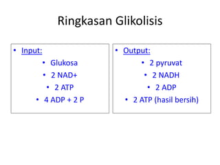 Ringkasan Glikolisis
• Input:
• Glukosa
• 2 NAD+
• 2 ATP
• 4 ADP + 2 P
• Output:
• 2 pyruvat
• 2 NADH
• 2 ADP
• 2 ATP (hasil bersih)
 