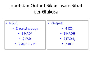 Input dan Output Siklus asam Sitrat
per Glukosa
• Input:
• 2 acetyl groups
• 6 NAD+
• 2 FAD
• 2 ADP + 2 P
• Output:
• 4 CO2
• 6 NADH
• 2 FADH2
• 2 ATP
 