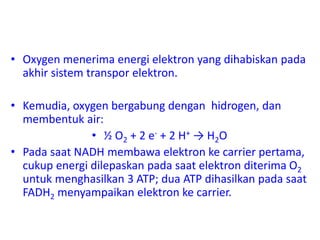 • Oxygen menerima energi elektron yang dihabiskan pada
akhir sistem transpor elektron.
• Kemudia, oxygen bergabung dengan hidrogen, dan
membentuk air:
• ½ O2 + 2 e- + 2 H+ → H2O
• Pada saat NADH membawa elektron ke carrier pertama,
cukup energi dilepaskan pada saat elektron diterima O2
untuk menghasilkan 3 ATP; dua ATP dihasilkan pada saat
FADH2 menyampaikan elektron ke carrier.
 