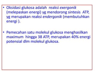 • Oksidasi glukosa adalah reaksi exergonik
(melepaskan energi) yg mendorong sintesis ATP,
yg merupakan reaksi endergonik (membutuhkan
energi ).
• Pemecahan satu molekul glukosa menghasilkan
maximum hingga 38 ATP, merupakan 40% energi
potensial dlm molekul glukosa.
 