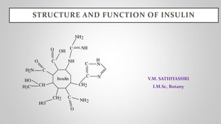 STRUCTURE AND FUNCTION OF INSULIN
V.M. SATHIYASHRI
I.M.Sc, Botany
 