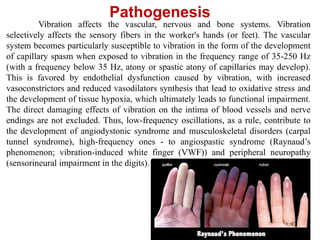 Vibration affects the vascular, nervous and bone systems. Vibration
selectively affects the sensory fibers in the worker's hands (or feet). The vascular
system becomes particularly susceptible to vibration in the form of the development
of capillary spasm when exposed to vibration in the frequency range of 35-250 Hz
(with a frequency below 35 Hz, atony or spastic atony of capillaries may develop).
This is favored by endothelial dysfunction caused by vibration, with increased
vasoconstrictors and reduced vasodilators synthesis that lead to oxidative stress and
the development of tissue hypoxia, which ultimately leads to functional impairment.
The direct damaging effects of vibration on the intima of blood vessels and nerve
endings are not excluded. Thus, low-frequency oscillations, as a rule, contribute to
the development of angiodystonic syndrome and musculoskeletal disorders (carpal
tunnel syndrome), high-frequency ones - to angiospastic syndrome (Raynaud’s
phenomenon; vibration-induced white finger (VWF)) and peripheral neuropathy
(sensorineural impairment in the digits).
Pathogenesis
 