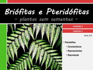 Briófitas e Pteridófitas
  - plantas sem sementes -
                              Unidade 5

                              Capítulo 2
                                           Aula 2/2

                     Pteridófitas
                        Características
                        Representantes
                        Reprodução
 