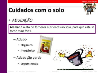 Terras cultiváveis




Cuidados com o solo
• ADUBAÇÃO
  Adubar é o ato de fornecer nutrientes ao solo, para que este se
  torne mais fértil.

      – Adubo
            • Orgânico
            • Inorgânico

      – Adubação verde
            • Leguminosas

Ciências – 6º ano Ens. Fundamental   2º Bimestre        Profa. Rebeca Vale
 