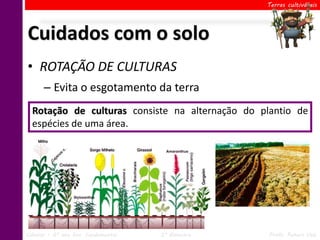 Terras cultiváveis




Cuidados com o solo
• ROTAÇÃO DE CULTURAS
      – Evita o esgotamento da terra
  Rotação de culturas consiste na alternação do plantio de
  espécies de uma área.




Ciências – 6º ano Ens. Fundamental   2º Bimestre   Profa. Rebeca Vale
 
