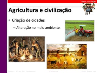 Terras cultiváveis




Agricultura e civilização
• Criação de cidades
      – Alteração no meio ambiente




Ciências – 6º ano Ens. Fundamental   2º Bimestre   Profa. Rebeca Vale
 