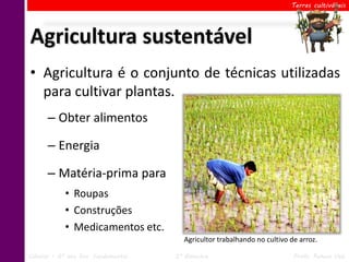 Terras cultiváveis




Agricultura sustentável
• Agricultura é o conjunto de técnicas utilizadas
  para cultivar plantas.
      – Obter alimentos

      – Energia

      – Matéria-prima para
            • Roupas
            • Construções
            • Medicamentos etc.
                                       Agricultor trabalhando no cultivo de arroz.

Ciências – 6º ano Ens. Fundamental   2º Bimestre                          Profa. Rebeca Vale
 
