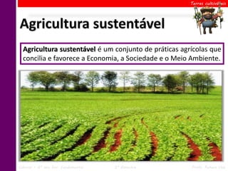 Terras cultiváveis




Agricultura sustentável
  Agricultura sustentável é um conjunto de práticas agrícolas que
  concilia e favorece a Economia, a Sociedade e o Meio Ambiente.




Ciências – 6º ano Ens. Fundamental   2º Bimestre       Profa. Rebeca Vale
 
