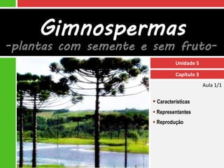 Gimnospermas
-plantas com semente e sem fruto-
                                 Unidade 5

                                 Capítulo 3
                                              Aula 1/1

                        Características
                        Representantes
                        Reprodução
 