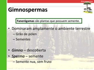 Gimnospermas




Gimnospermas
           Fanerógamas são plantas que possuem semente.

• Dominaram amplamente o ambiente terrestre
      – Grão de pólen
      – Sementes


• Gimno – descoberta
• Sperma – semente
      – Semente nua, sem fruto
Ciências – 7º ano Ens. Fundamental   2º Bimestre      Profa. Rebeca Vale
 