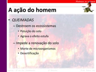 Mudanças na paisagem




A ação do homem
• QUEIMADAS
      – Destroem os ecossistemas
            • Poluição do solo
            • Agrava o efeito estufa

      – Impede a renovação do solo
            • Morte de microorganismos
            • Desertificação




Ciências – 6º ano Ens. Fundamental   2º Bimestre        Profa. Rebeca Vale
 