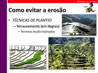 Mudanças na paisagem




Como evitar a erosão
• TÉCNICAS DE PLANTIO
      – Terraceamento (em degrau)
            • Terrenos muito inclinados




Ciências – 6º ano Ens. Fundamental   2º Bimestre        Profa. Rebeca Vale
 