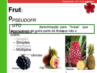 Frut
o
Angiospermas – flor, fruto e semente
• PSEUDOFR
UTO
Pseudofruto é a
denominação para “frutas” que
se
desenvolvem de outra parte da flor, que não o
ovário.
– Simples
– Múltiplos
• Inflorescências
Abacax
i.
Figo
.
Amora
.
Ciências – 7º ano Ens. Fundamental 2º Bimestre Profa. Rebeca Vale
 