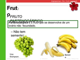Frut
o
Angiospermas – flor, fruto e semente
• FRUTO
PARTENOCÁRPICO
– Não tem
sementes.
Partenocárpico é o fruto que se desenvolve de um
ovário não fecundado.
Banan
a.
Uva
thompson.
Ciências – 7º ano Ens. Fundamental 2º Bimestre Profa. Rebeca Vale
 