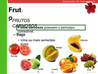 Frut
o
Angiospermas – flor, fruto e semente
• FRUTOS
CARNOSOS
– Baga
• Uma ou mais sementes
livres
Frutos carnosos possuem o pericarpo
comestível.
Tomate
.
Mamão
.
Ciências – 7º ano Ens. Fundamental 2º Bimestre Profa. Rebeca Vale
Uva
.
Melão
.
Laranj
a.
Goiab
a.
 