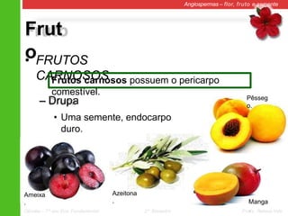 Frut
o
Angiospermas – flor, fruto e semente
• FRUTOS
CARNOSOS
– Drupa
• Uma semente, endocarpo
duro.
Frutos carnosos possuem o pericarpo
comestível.
Ameixa
.
Pêsseg
o.
Azeitona
. Manga
.
Ciências – 7º ano Ens. Fundamental 2º Bimestre Profa. Rebeca Vale
 