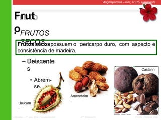 Urucum
.
Castanh
a.
Amendoim
.
Frut
o
Angiospermas – flor, fruto e semente
• FRUTOS
SECOS
– Deiscente
s
• Abrem-
se.
Frutos secospossuem o pericarpo duro, com aspecto e
consistência de madeira.
Ciências – 7º ano Ens. Fundamental 2º Bimestre Profa. Rebeca Vale
 